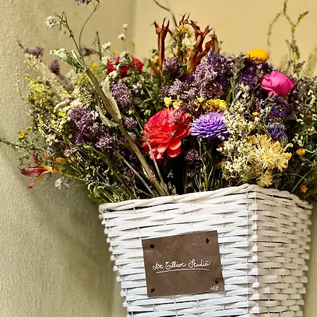 Detillierstudio2 Appartement *